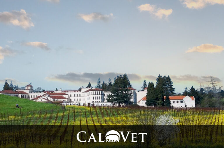 Two Women Who Made a Huge Impact on Yountville’s Veterans Home The Yountvillian